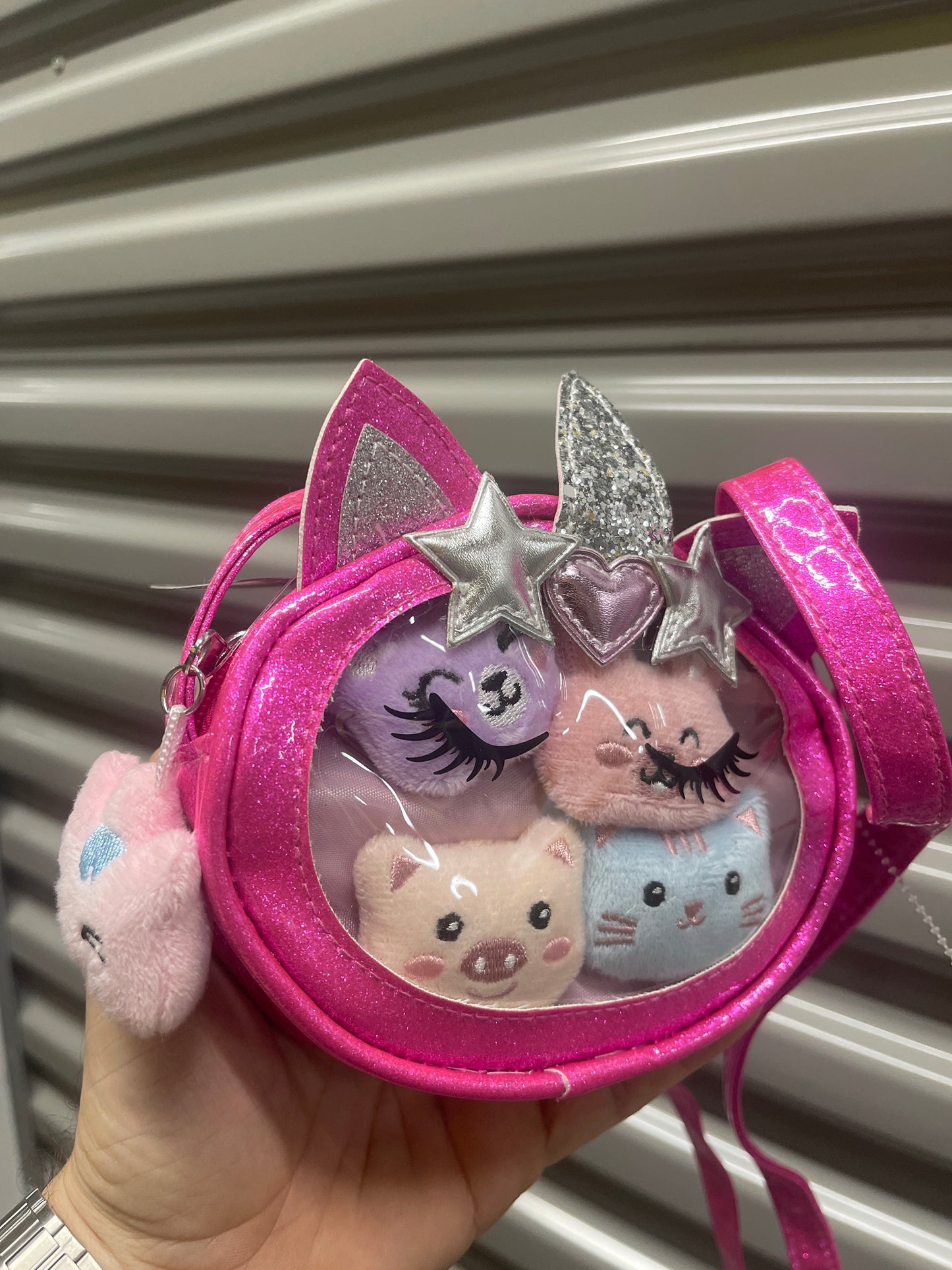 Carteras Medianas