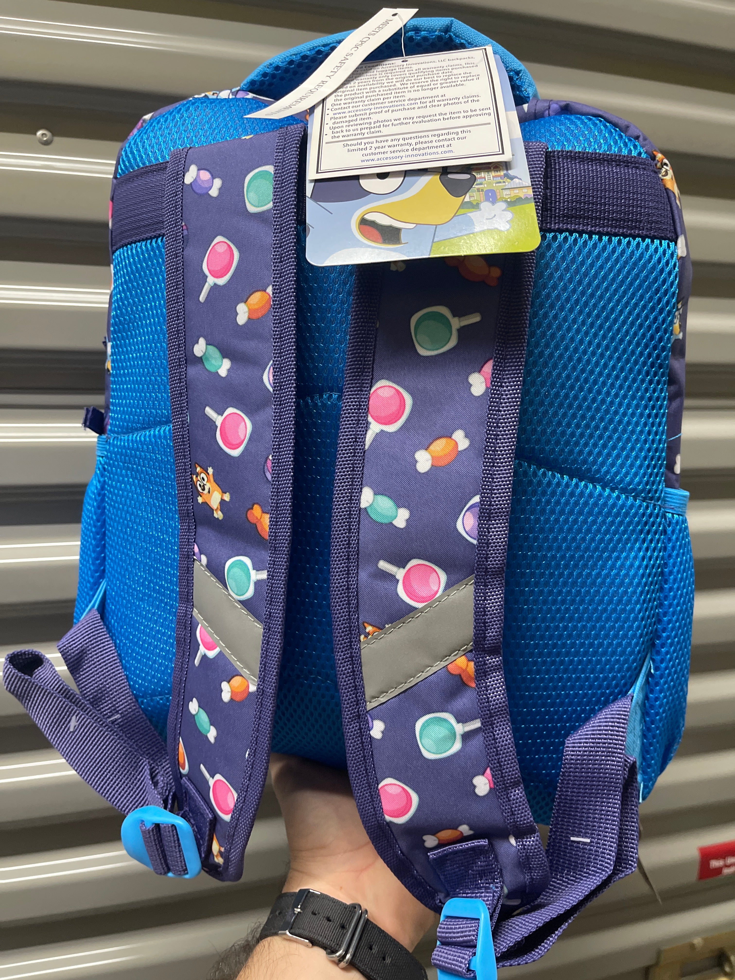 Morral Bluey