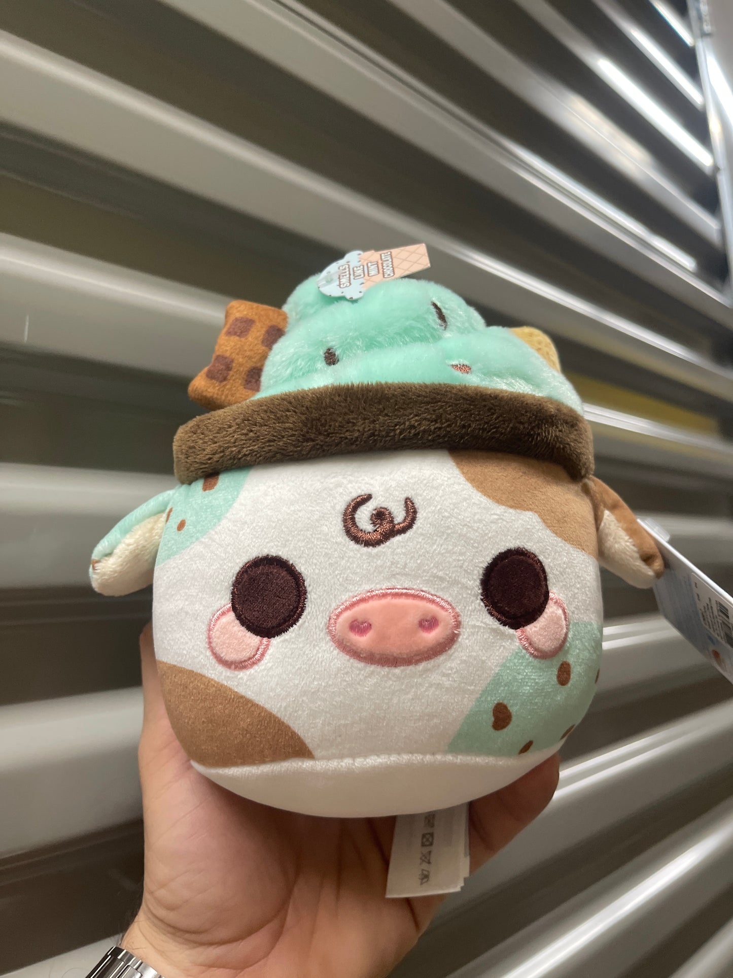 Peluches Pequeños