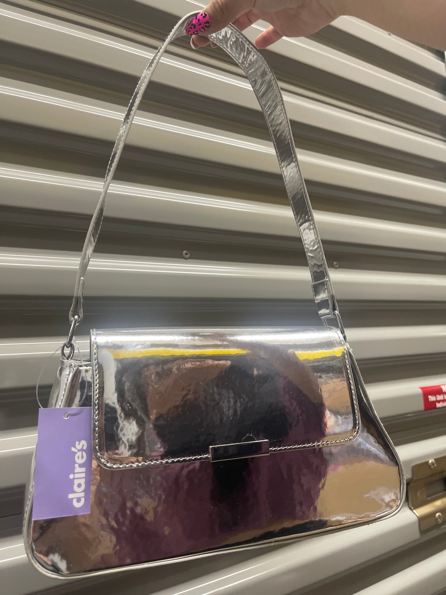 Cartera Plateada