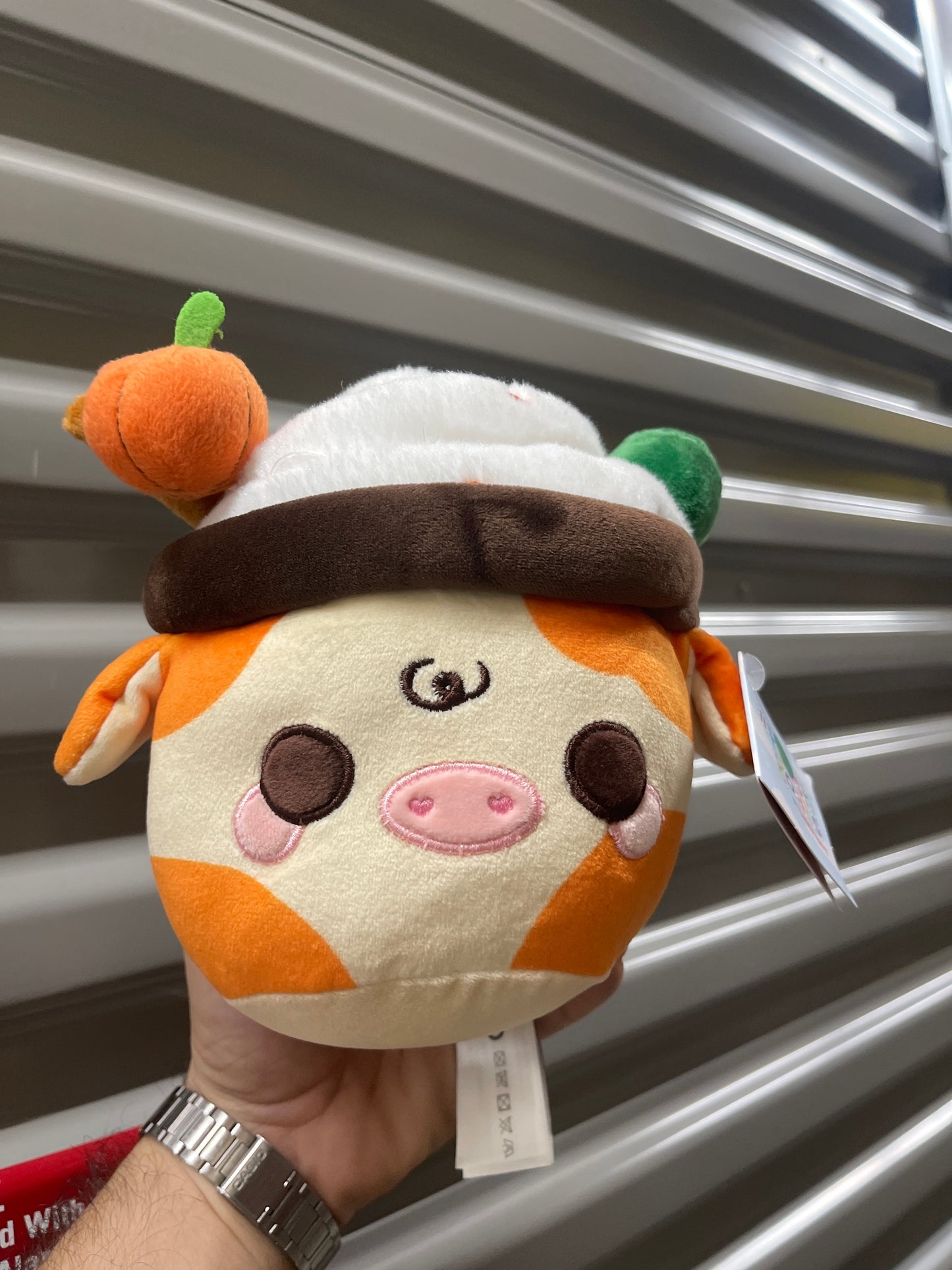 Peluches Pequeños