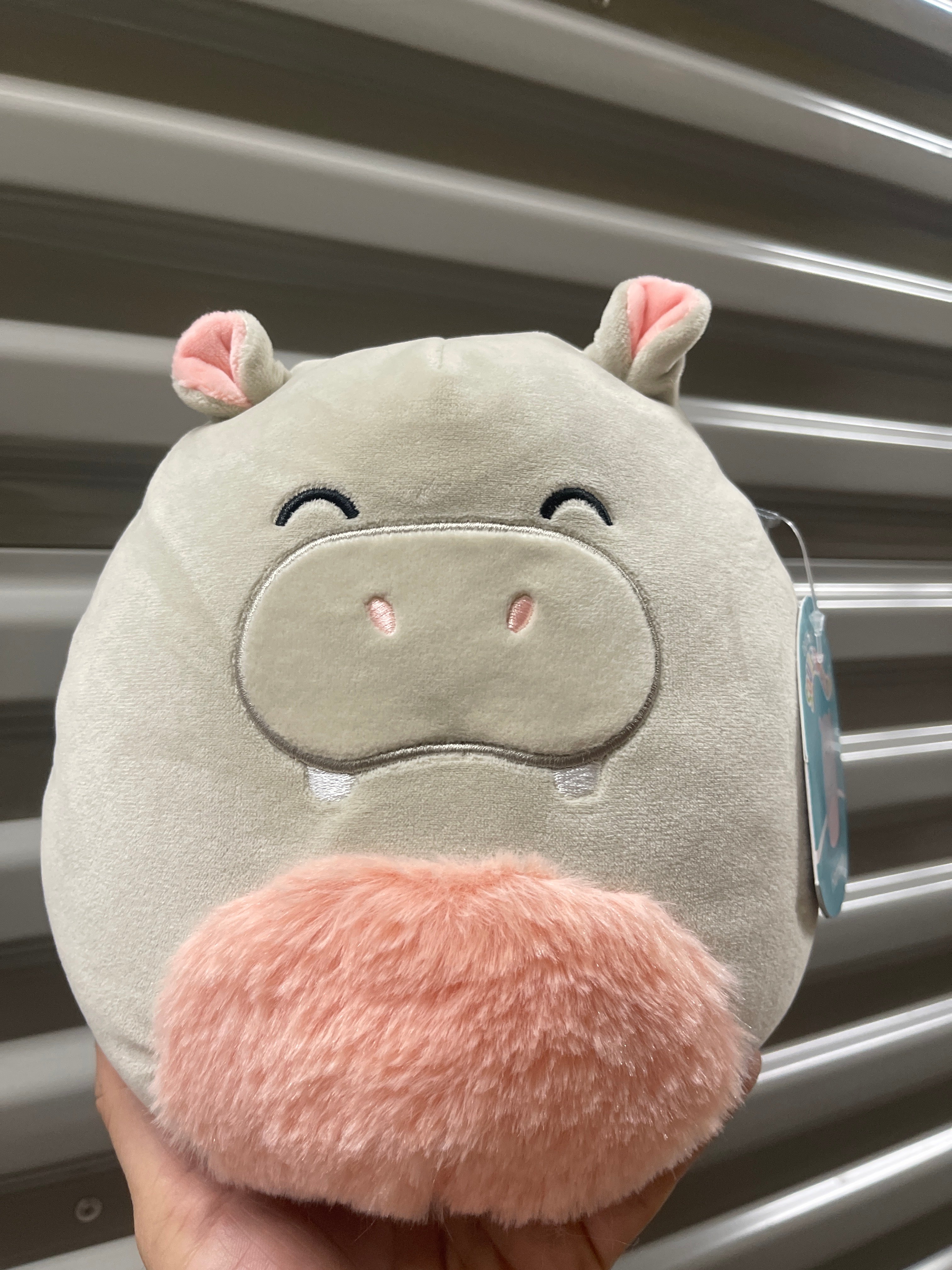 Squishmallows Medianos Peluches