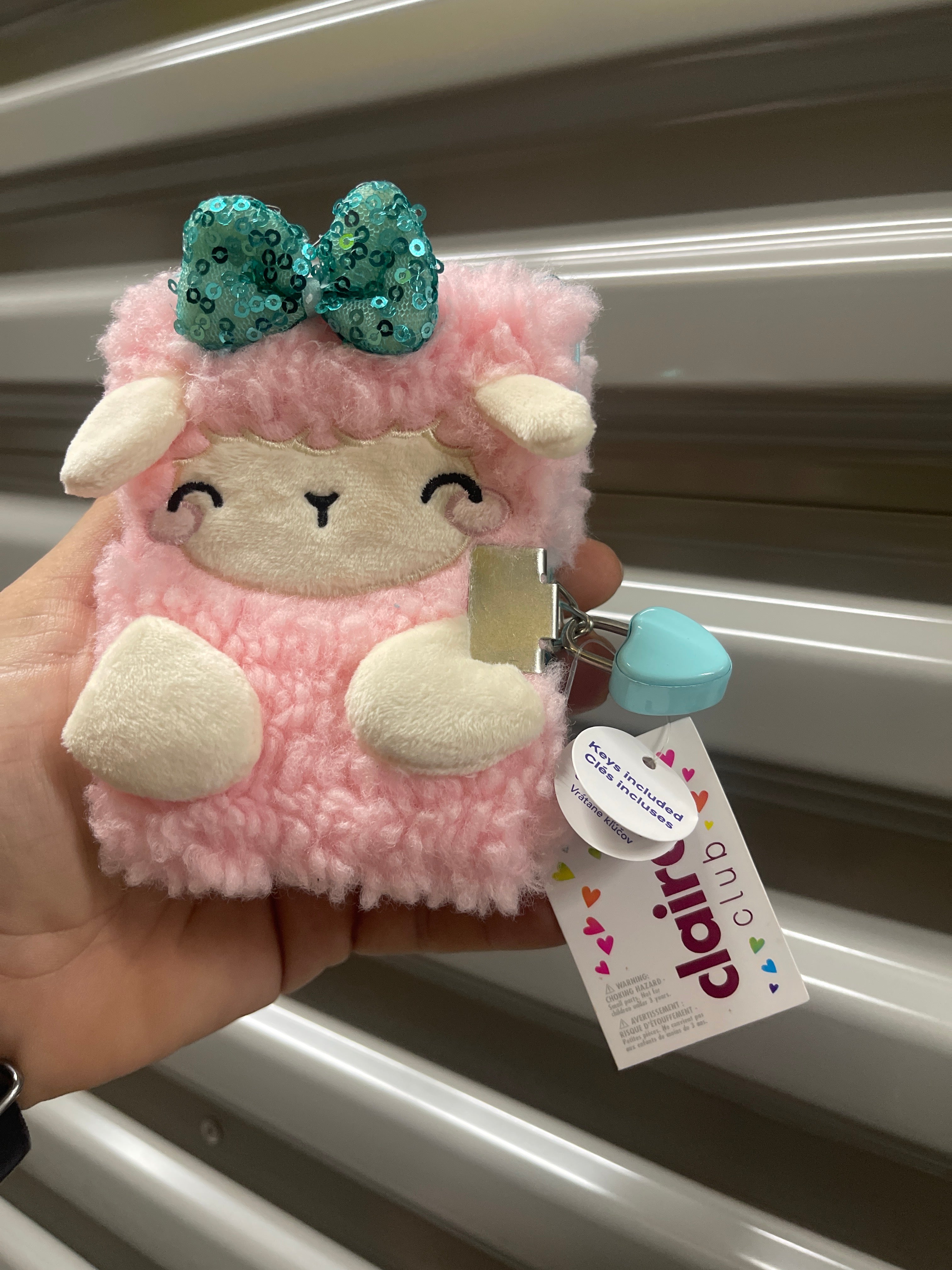 Mini Diario con Lapicero