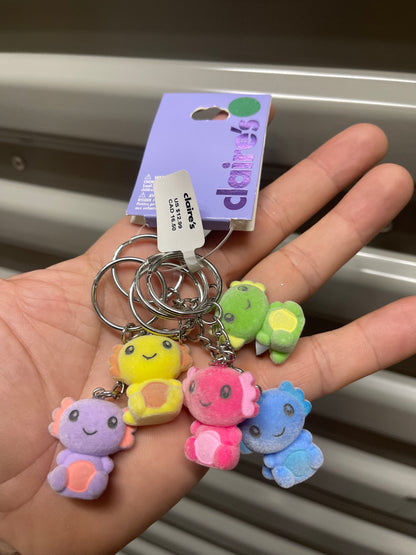 Set 5 llaveros