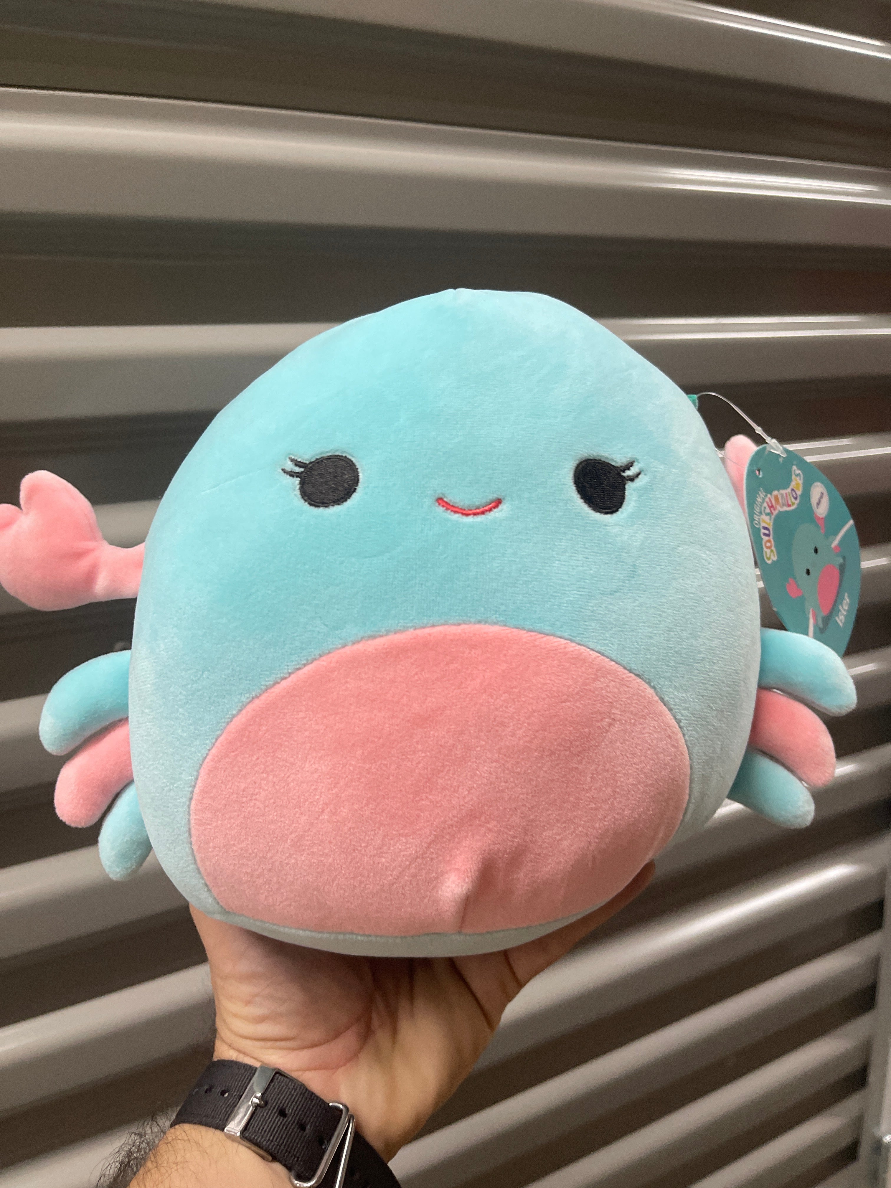 Squishmallows Medianos Peluches