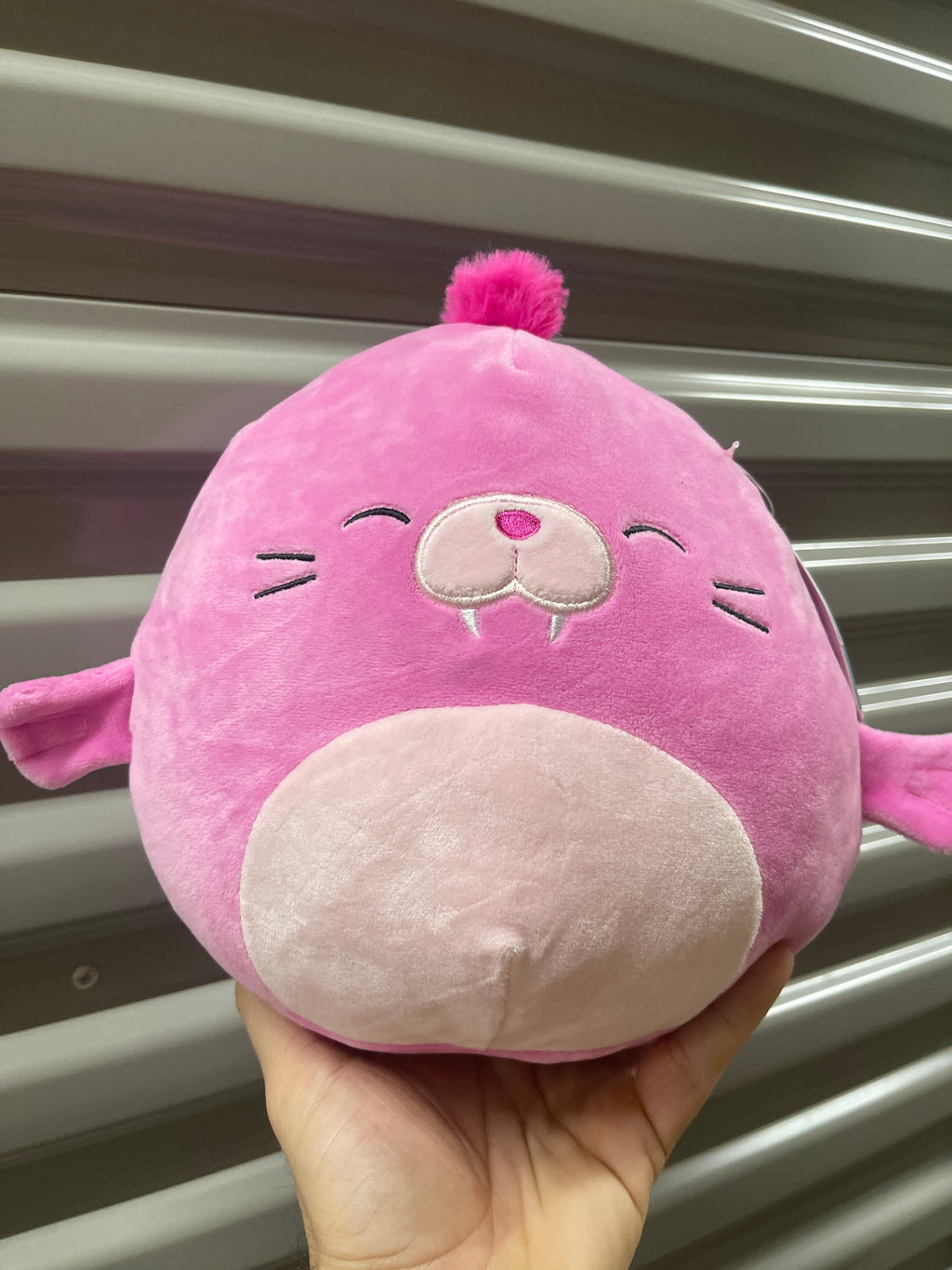 Squishmallows Medianos Peluches