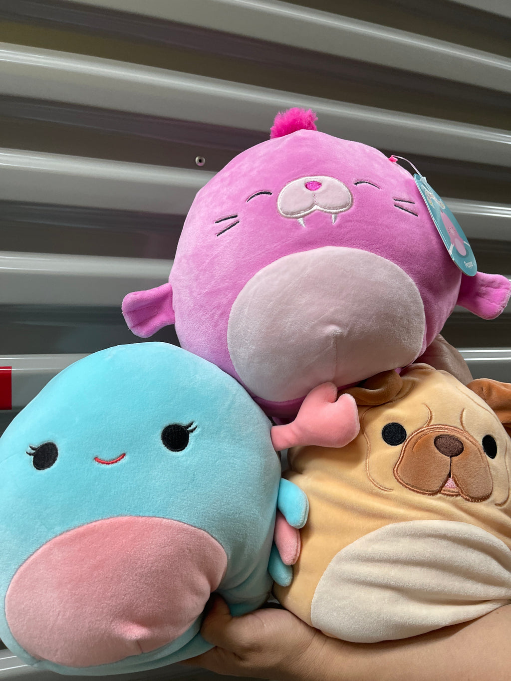 Squishmallows Medianos Peluches