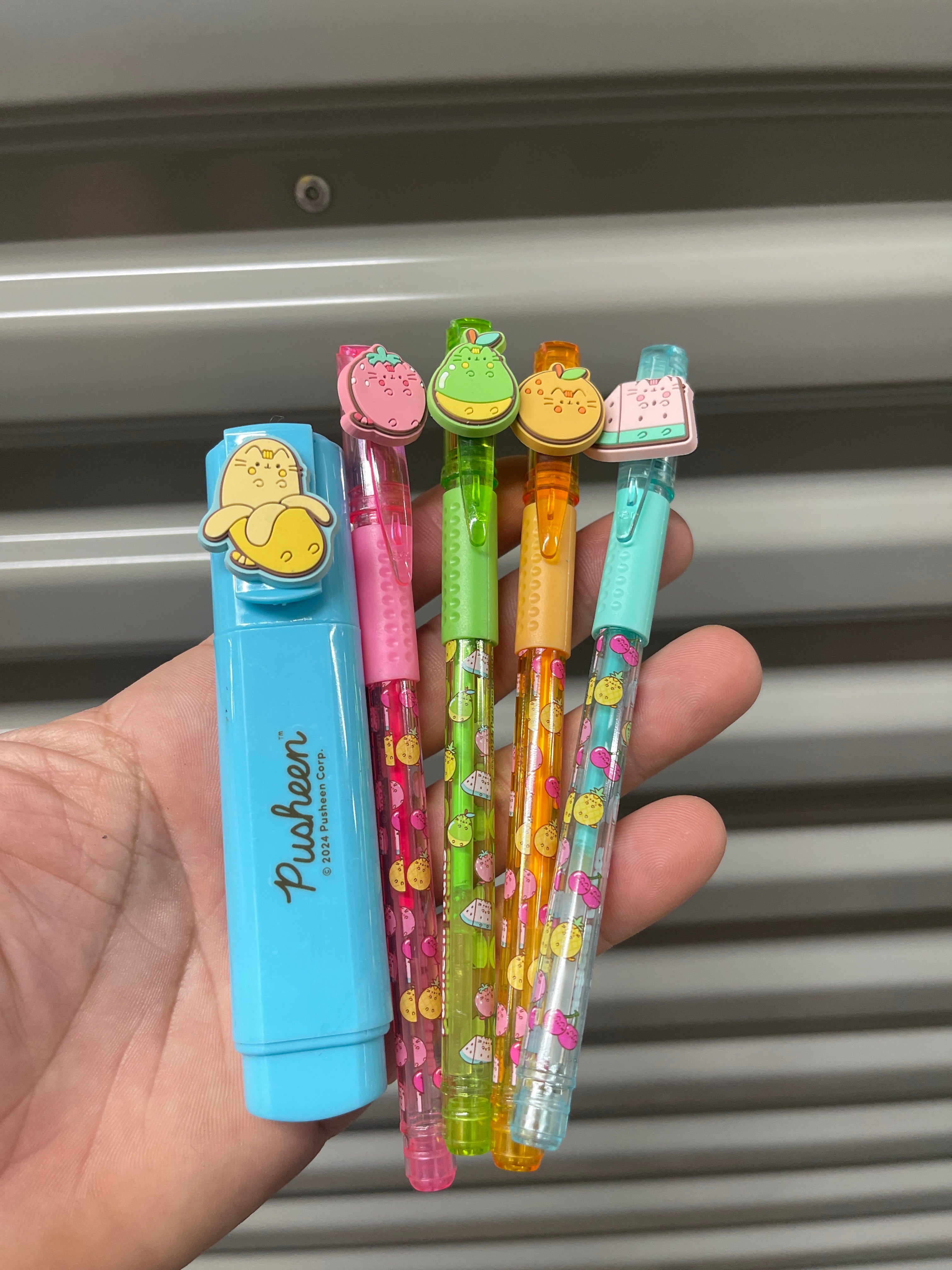 Set Lapiceros y Resaltadores