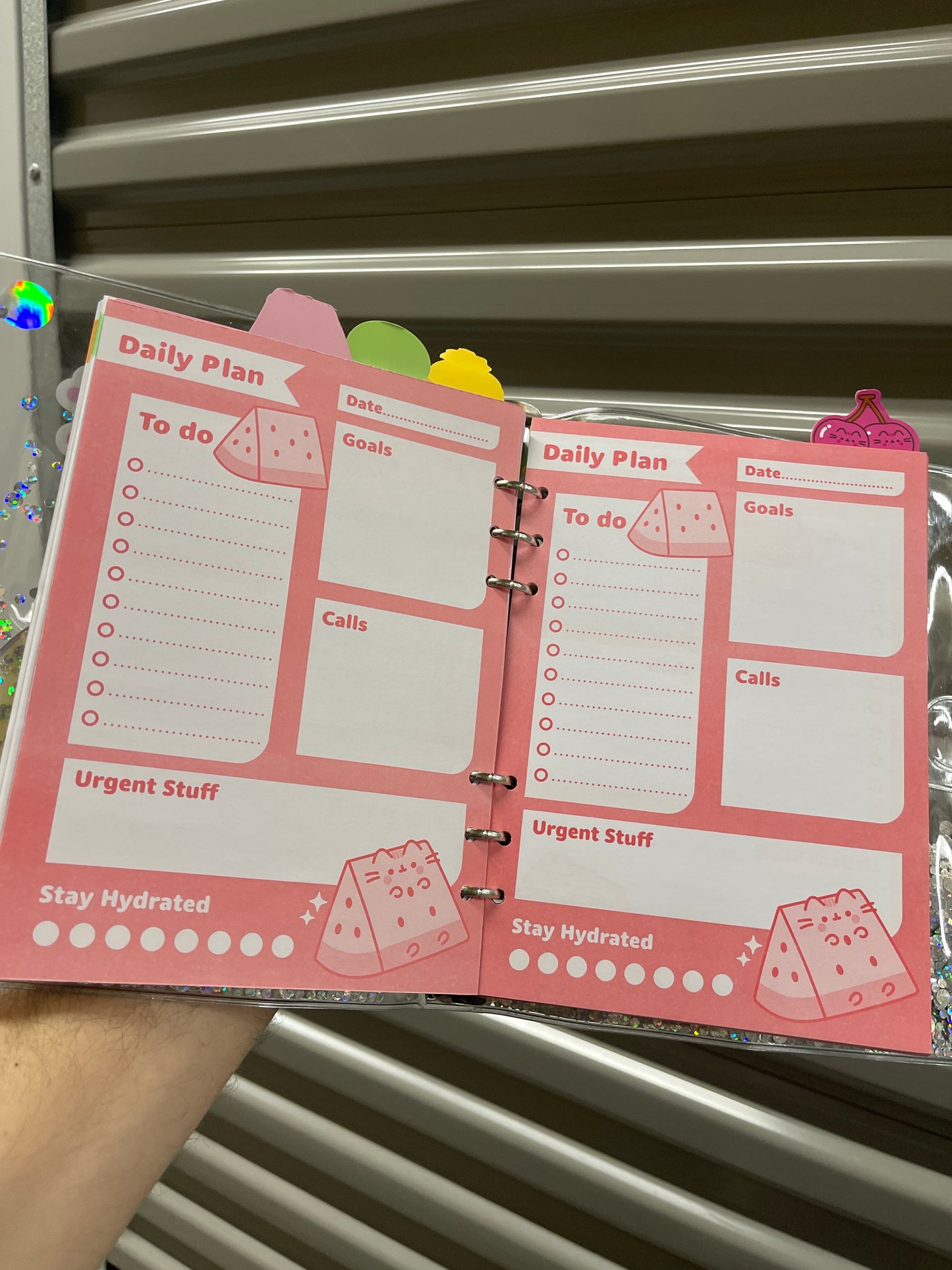 Agendas Pusheen