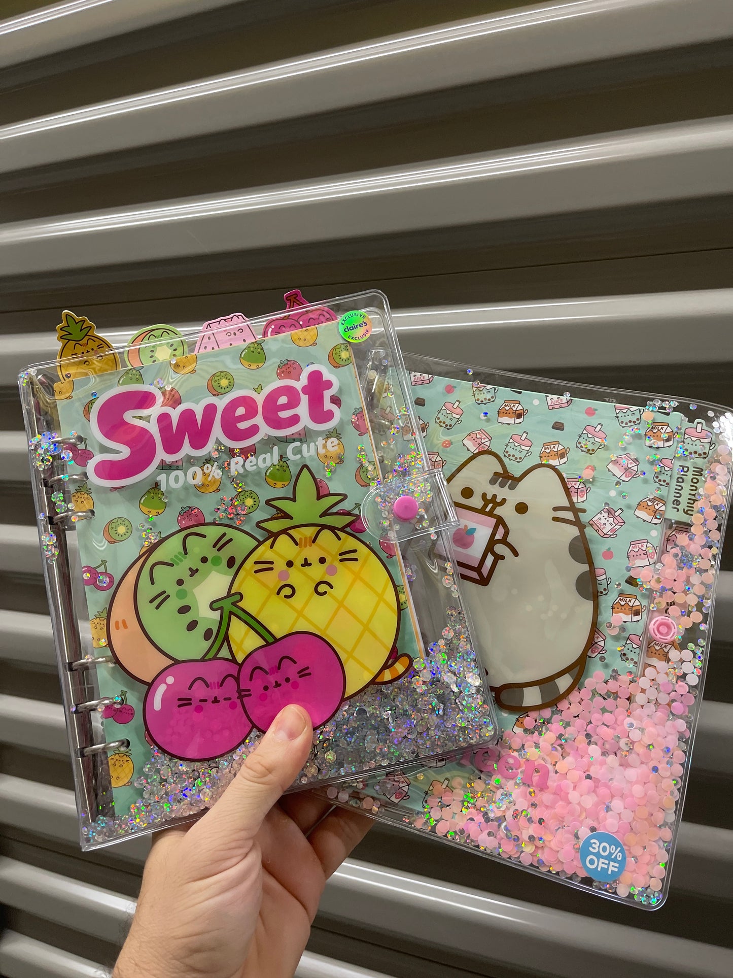 Agendas Pusheen